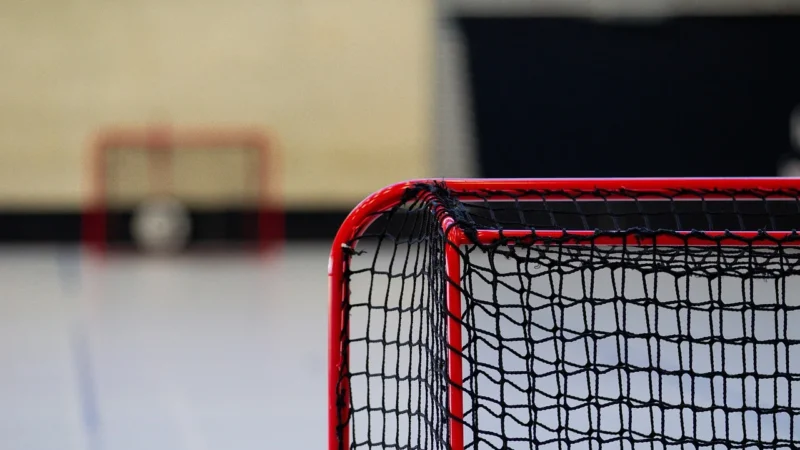 Adar All-Star Ice Hockey 547186