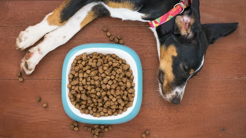 Brit Veterinary Diet Gastrointestinal Herring&Pea 2kg