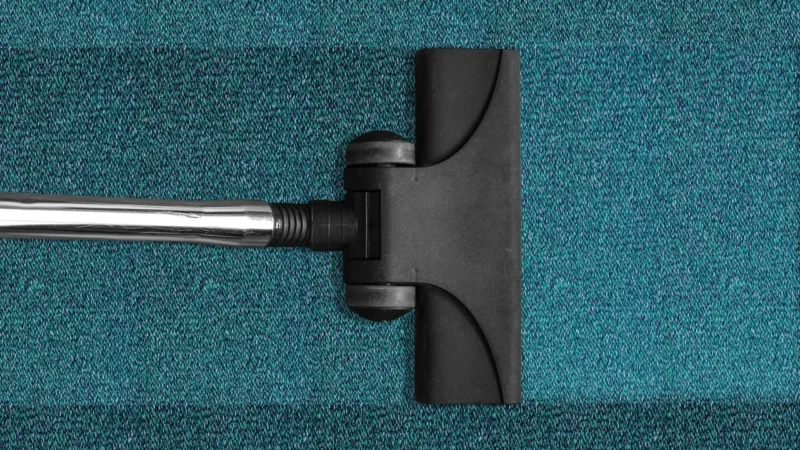 Dyson Cyclone V10 Animal
