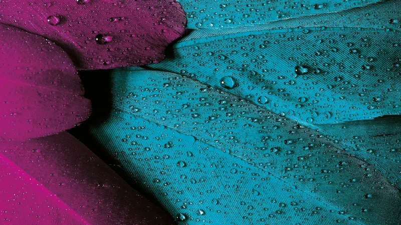 Epson T44Q640 Vivid jasny purpurowy