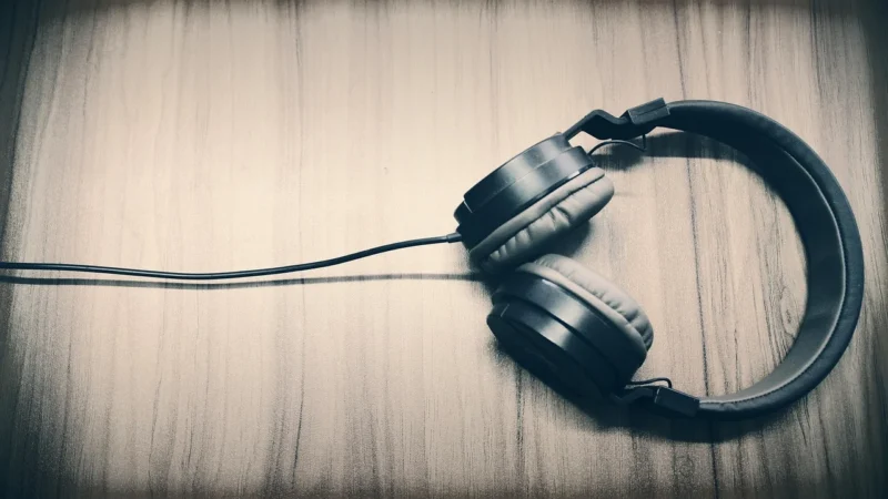 Focal Clear szary