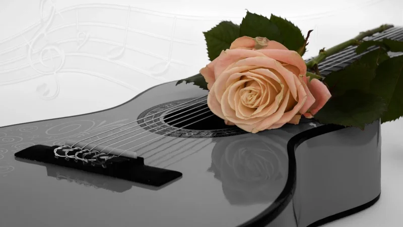 Guitar Pro 7 – program do edycji partytur BOX