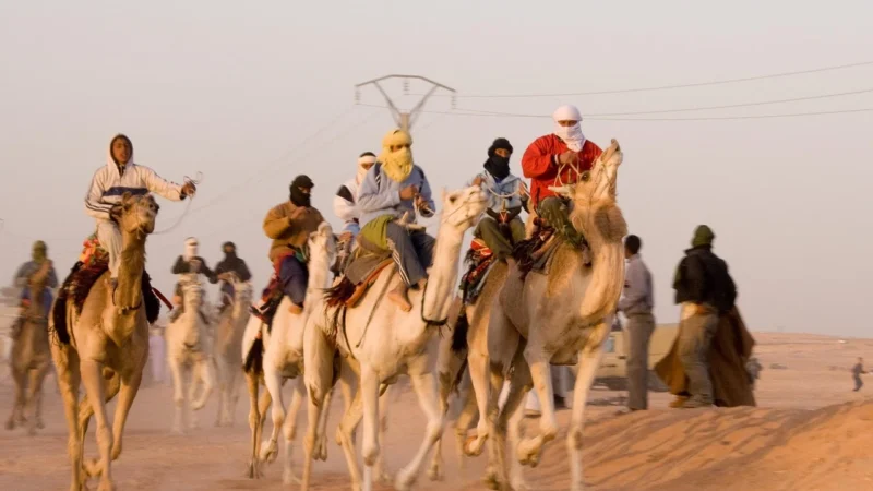 Lucrum Games Camel UP Po Zawodach