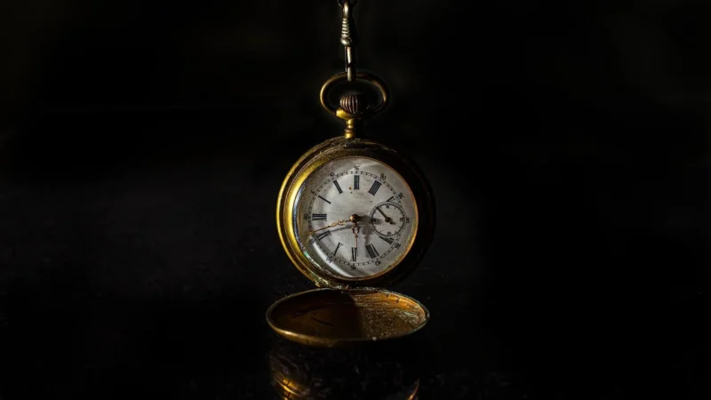 Pasek Ze Skóry Naturalnej Gepard Watches 14mm : Kolor Paska Skórzanego – Różowo Złota Skóra (1559_458)