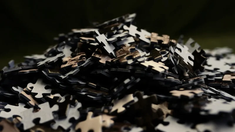 Puzzle Świat koni 2×24