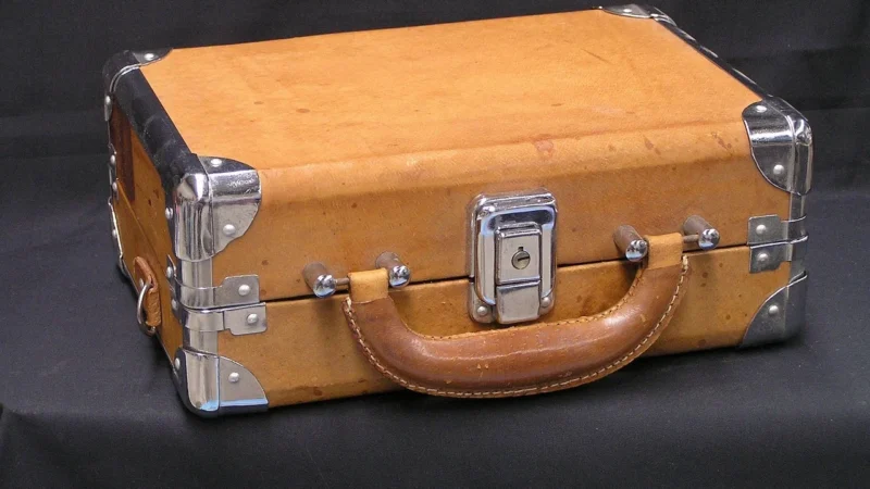 Sennheiser Etui transportowe do słuchawek IE 800 (552766)