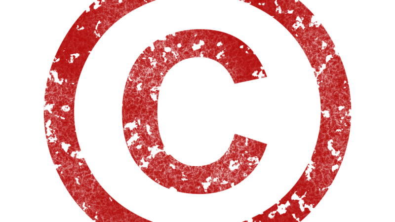 Slican licencja NCP.Base100.Redundancy